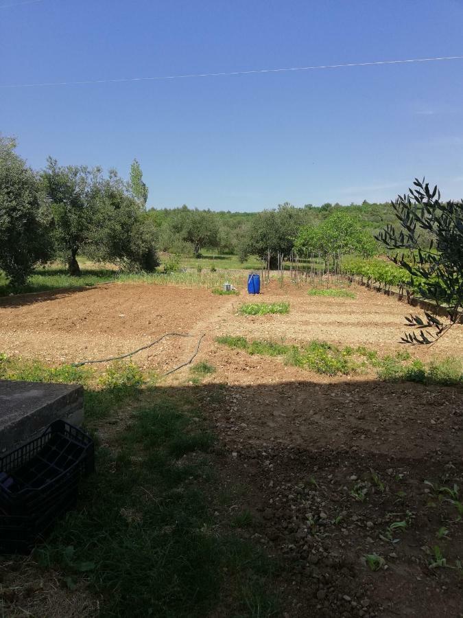 Apartmani Sladic Skradin Exterior photo